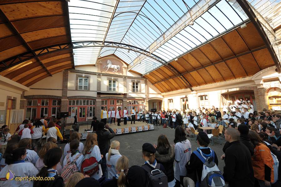 Nom de l'image : D30083782_1_(c)Norbert-JUNG — Description :